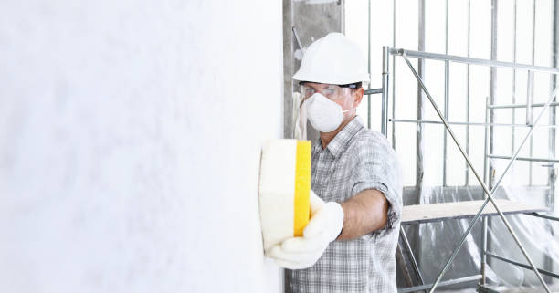 Why You Should Choose Our Mold Remediation Services in Riverbank, CA